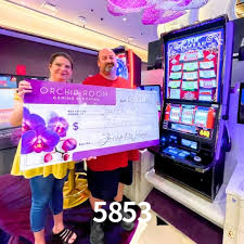 Live Casino 5853